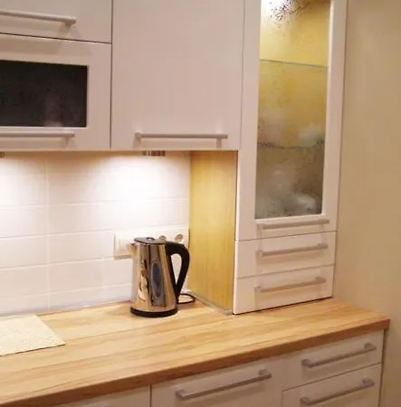Center, Stabu Street 49, 1bedroom Apartment Riga
